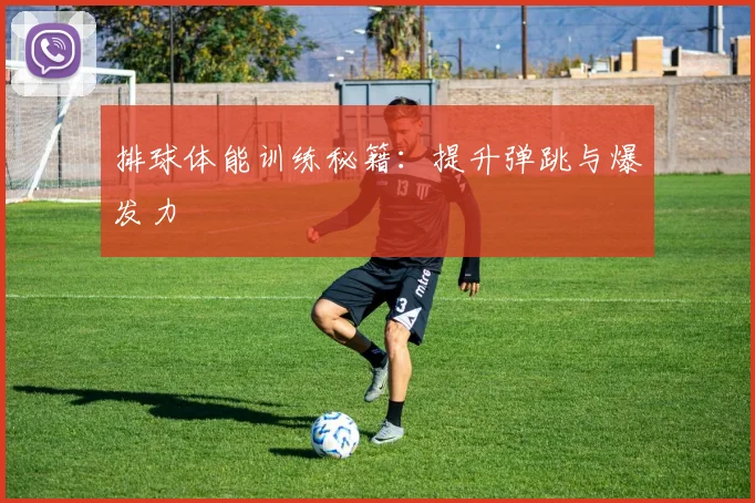 排球体能训练秘籍：提升弹跳与爆发力