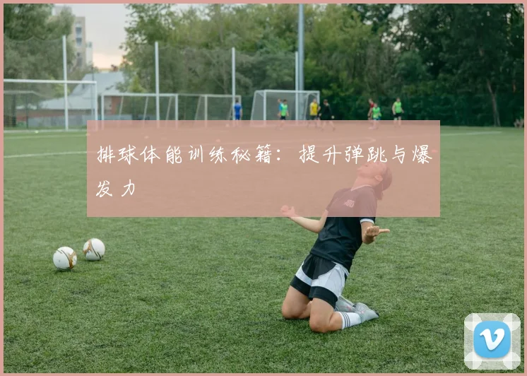 排球体能训练秘籍：提升弹跳与爆发力